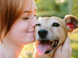 "Emprunte mon toutou", un service de garde de chien bénévole
