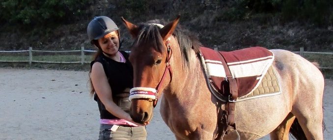 Ethologie Observation du cheval jeune