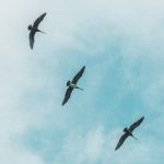 juan-burgos-a_9MoaomSdw-unsplash
