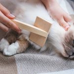comment-eviter-boules