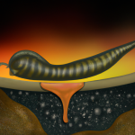 reveil-miraculeux-apres-46-000-ans-une-espece-de-nematodes-meconnue-fait-surface-grace-a-une-goutte-deau