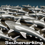 un-mysterieux-rassemblement-de-requins-marteaux-revele-grace-a-une-observation-ancestrale