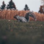 jusdevoyage-bTDO_XXa8DI-unsplash