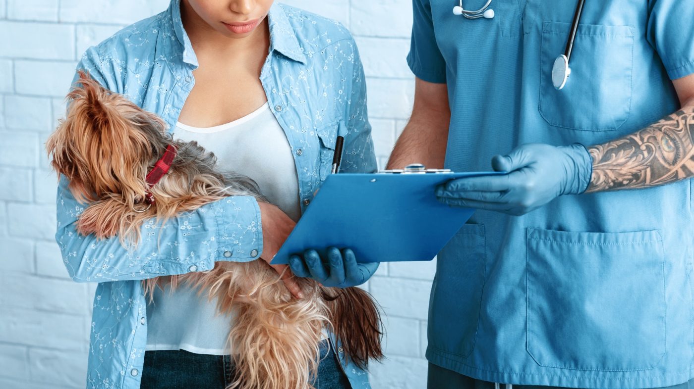 Jeune femme qui consulte un vétérinaire pour son chien