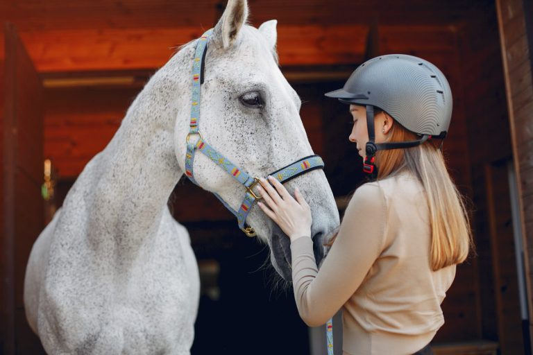 Comment savoir si votre cheval est heureux ?