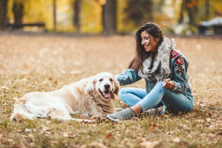 La communication canine : décrypter les signaux corporels et comprendre le langage des chiens