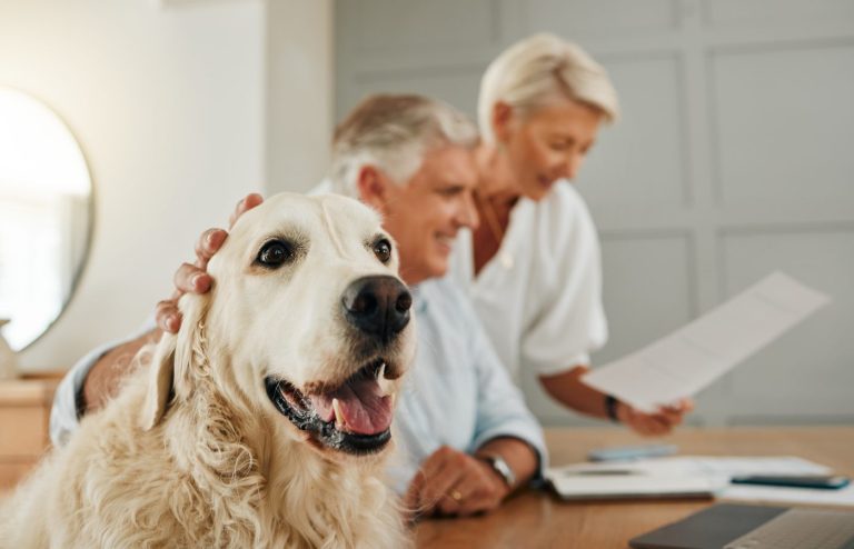 Quelle assurance choisir pour son chien ?