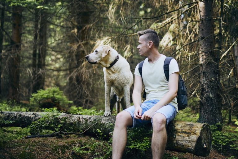 Histoires de queues remuantes : Les anecdotes les plus touchantes et mignonnes des propriétaires de chiens